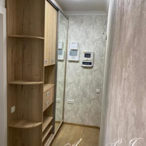 Шкаф с зеркалом в узкую прихожую